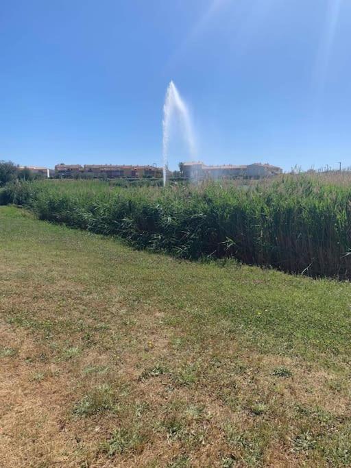 Appartement Le Florid Cap D'Agde, T2 , 4 Pers, 200M Plage, Terrasse Buitenkant foto
